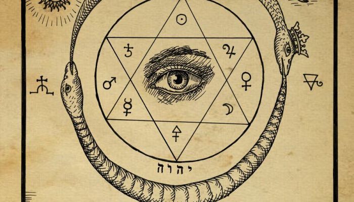 ARTÍCULO | Los 7 Principios Universales